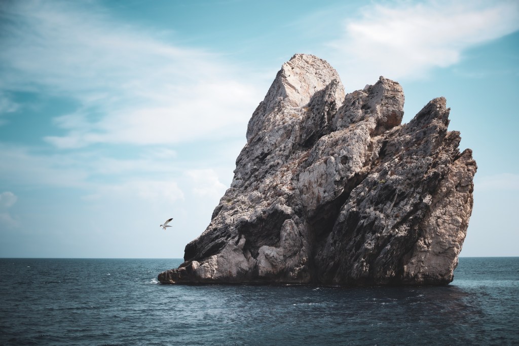 The Art of Photography: Capturing Life’s Experiences Through a Lens